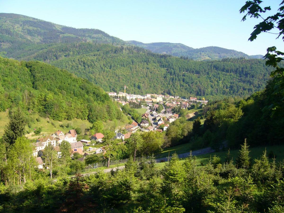 Le Tricotin Gite 2-4 Personnes Sainte-Marie-aux-Mines Bagian luar foto